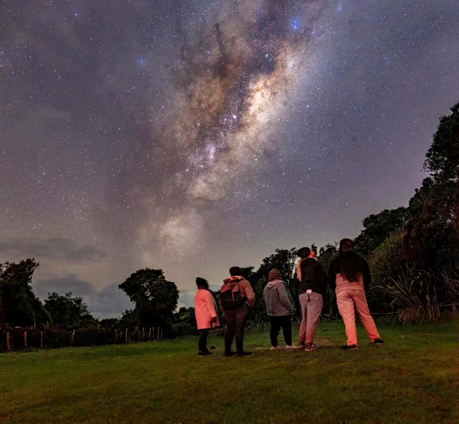Auckland (Tawharanui): Wild Kiwi Bird Spotting Encounter - Why Tawharanui is a special place for kiwi watching