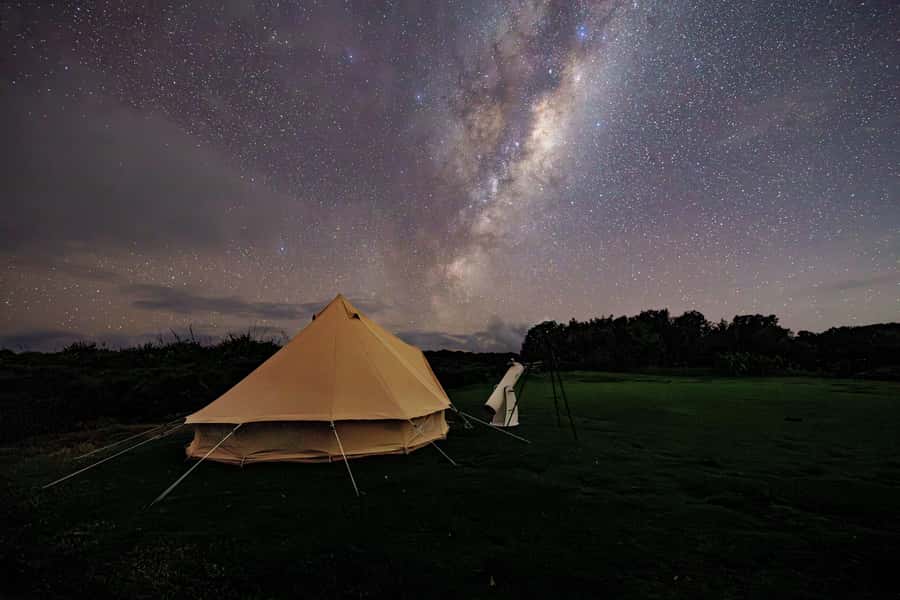 Auckland (Tawharanui): Wild Kiwi Bird Spotting Encounter - Stargazing under a dark coastal sky