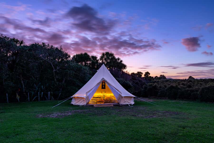 Auckland (Tawharanui): Wild Kiwi Bird Spotting Encounter - Practical advice for a better night