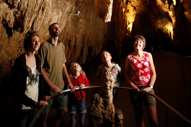Auckland: Te Puia Rotorua & Waitomo Caves Small Group with Lunch - Geothermal Power and Māori Culture at Te Puia