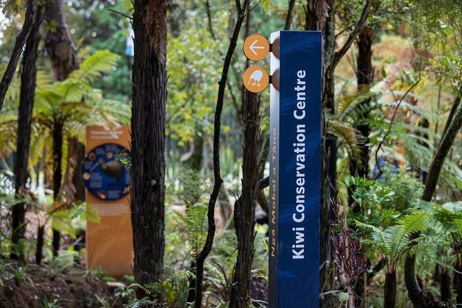 Auckland: Te Puia Rotorua & Waitomo Caves Small Group with Lunch - Practical Details Before You Book