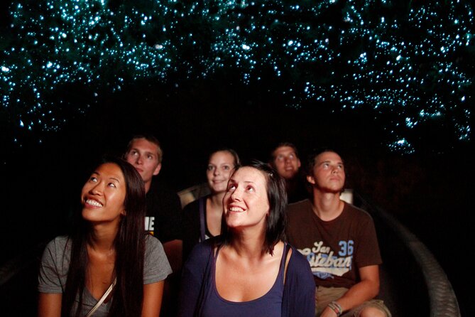 Auckland: Te Puia Rotorua & Waitomo Caves Small Group with Lunch - The Two-Hour Road to Rotorua