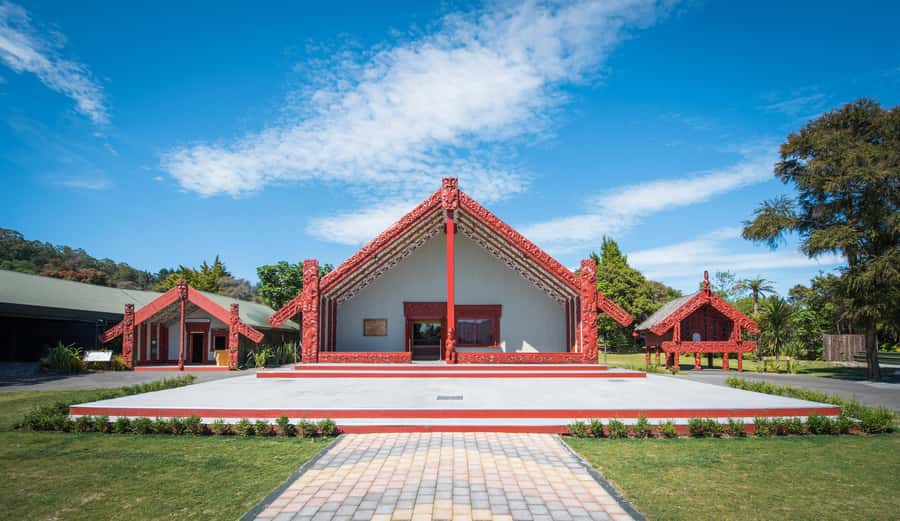 Auckland: Te Puia & Wai Ariki Hot Springs Tour - The Waikato road: three and a half hours of countryside