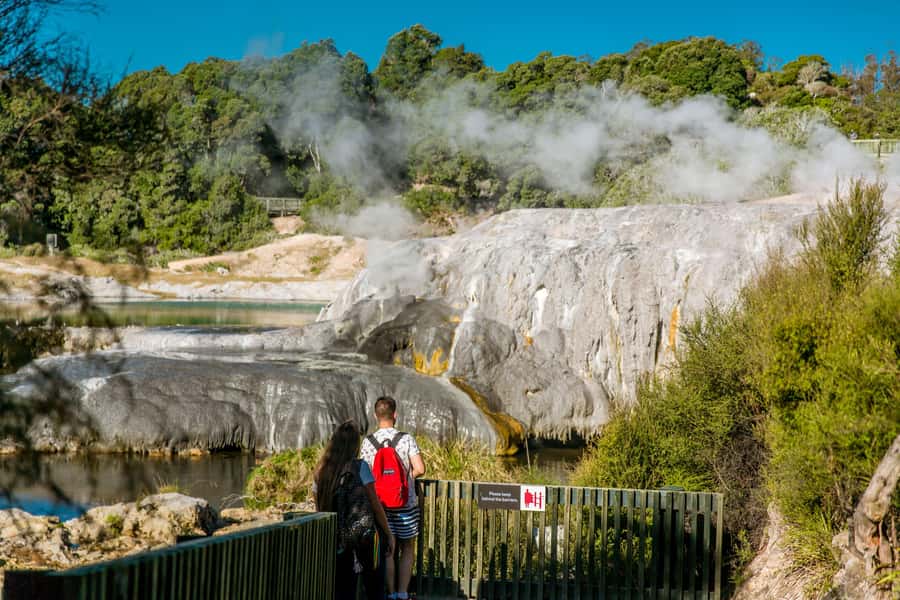 Auckland: Te Puia & Wai Ariki Hot Springs Tour - What $295 includes, and what it does not