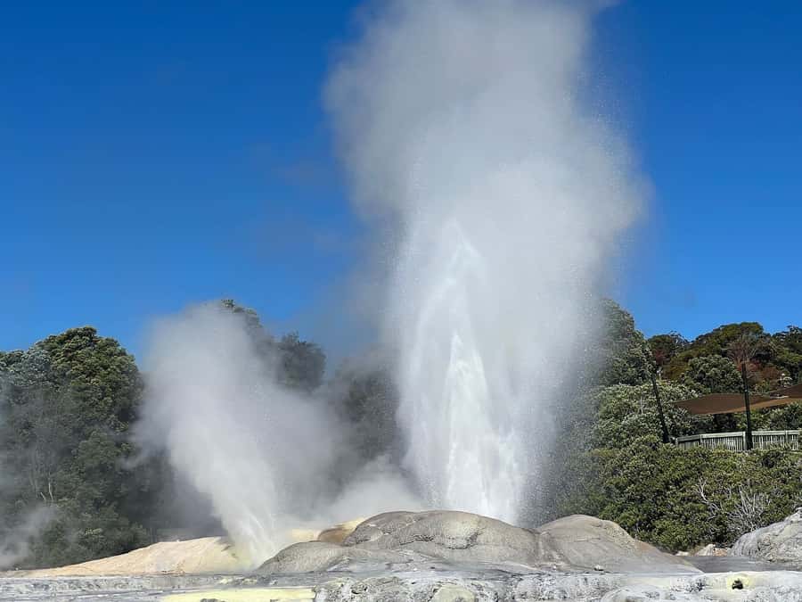 Auckland: Te Puia & Wai Ariki Hot Springs Tour - The guide and the feel of a small group