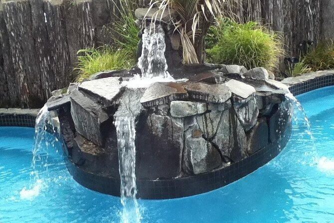 Auckland Thermal Pool and Muriwai Beach Sunset Day tour - Key points at a glance