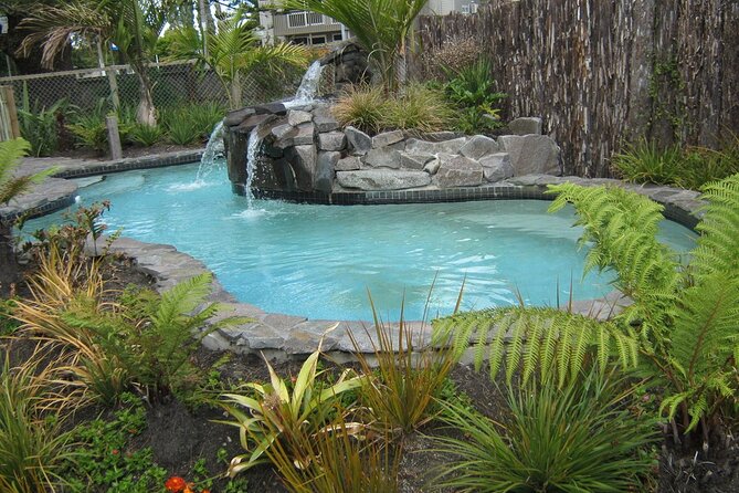 Auckland Thermal Pool and Muriwai Beach Sunset Day tour - Why this Auckland evening works