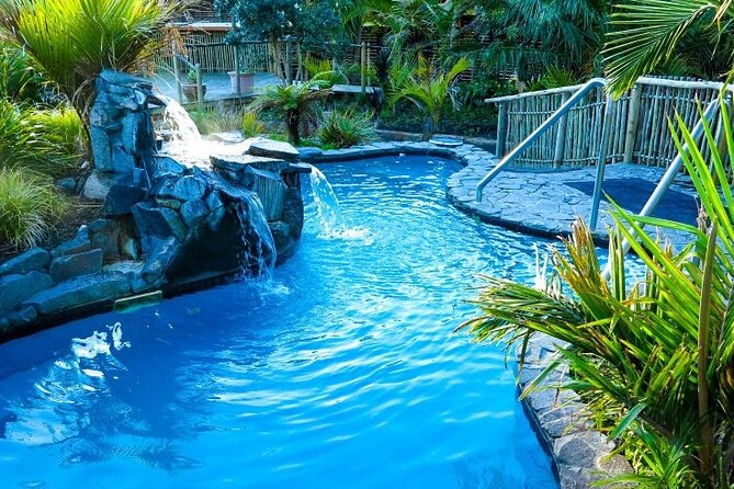 Auckland Thermal Pool and Muriwai Beach Sunset Day tour - Palm Springs Hot Pool: the warm start