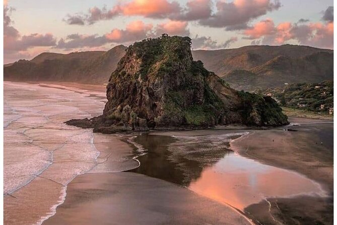 Auckland: Tikapa Moana Dolphin, Whale and Island Cruise - Man O War Vineyards: an easier island stop