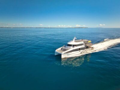 Tikapa Moana Whales, Dolphins and Islands Cruise