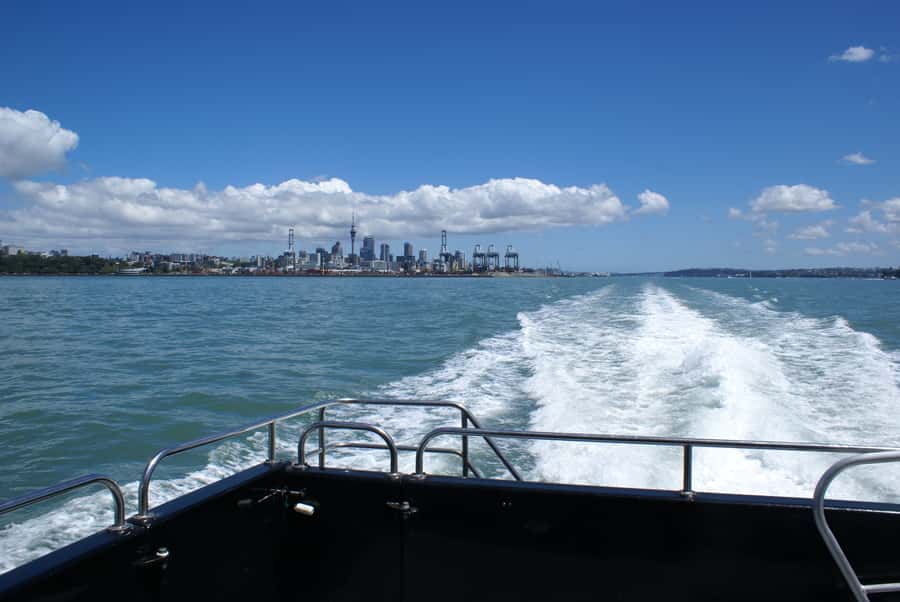 Auckland: Tikapa Moana Whales, Dolphins and Islands Cruise - The weekday and weekend schedules matter