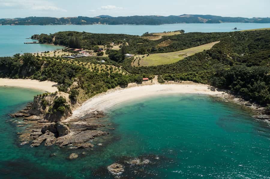 Auckland: Tikapa Moana Whales, Dolphins and Islands Cruise - FAQ