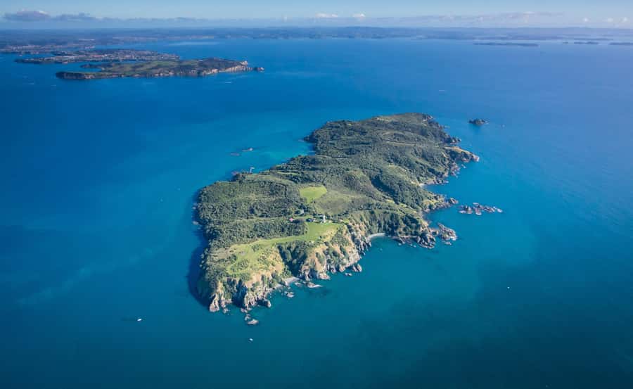 Auckland: Tiritiri Matangi Island Ferry - Why Tiritiri Matangi feels different from Auckland