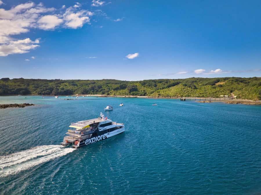 Auckland: Tiritiri Matangi Island Ferry - Starting from Auckland or Gulf Harbour