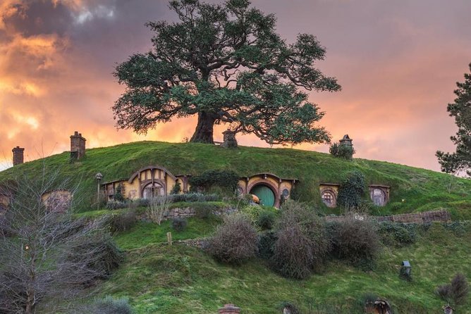 Auckland to Hobbiton Movie Set and Rotorua's Geothermal Valley - Guides, vehicles, and group size
