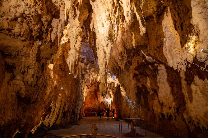Auckland to Rotorua, Hobbiton and Waitomo 1 Way Small Group Tour - Hobbiton Movie Set: the main event for film fans