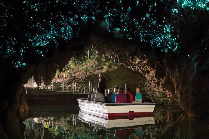 Auckland to Rotorua, Hobbiton and Waitomo 1 Way Small Group Tour - Who should book this one-way tour?