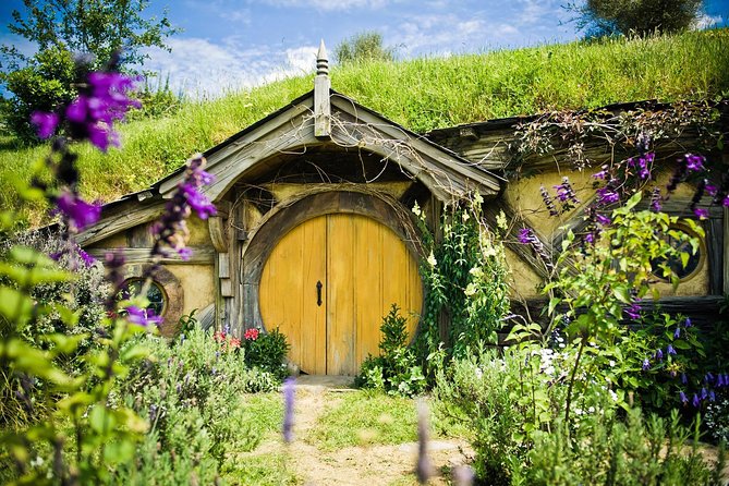 Auckland to Rotorua via Hobbiton Movie Set Tour - One Way - Key points to know before booking