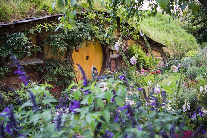 Auckland to Rotorua via Hobbiton Small Group Tour (One Way) - A quick first look at Rotorua