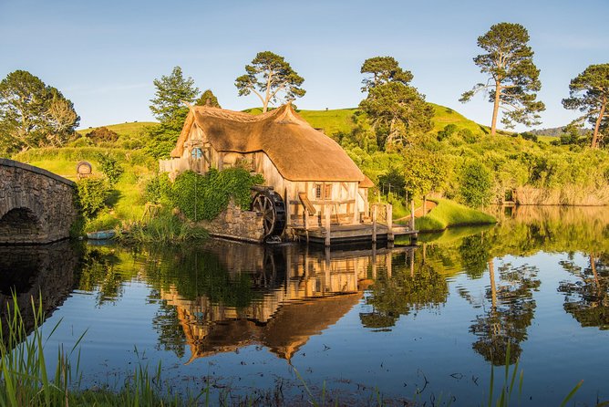 Auckland to Rotorua via Hobbiton Small Group Tour (One Way) - Through Waikato farming country