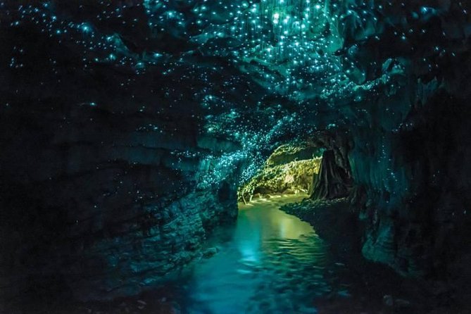 Auckland to Rotorua via Waitomo Caves Small Group Tour (One Way) - The Waikato drive through farmland and rivers