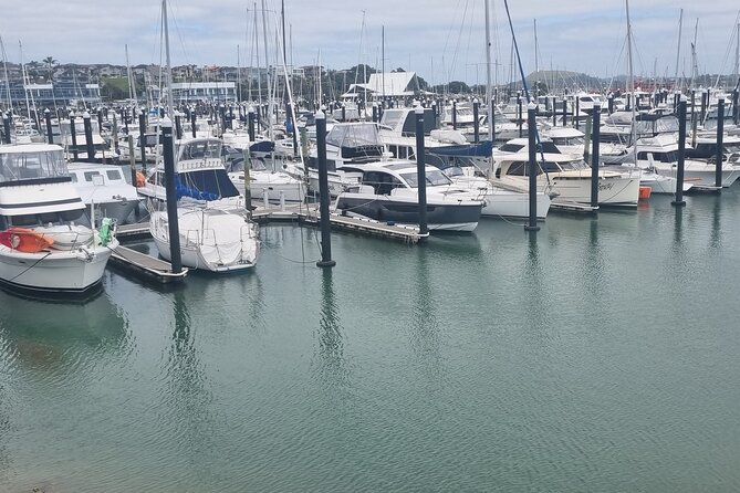 Auckland Town and Country Delights Tour - Rydges Formosa: lunch with wide Auckland views