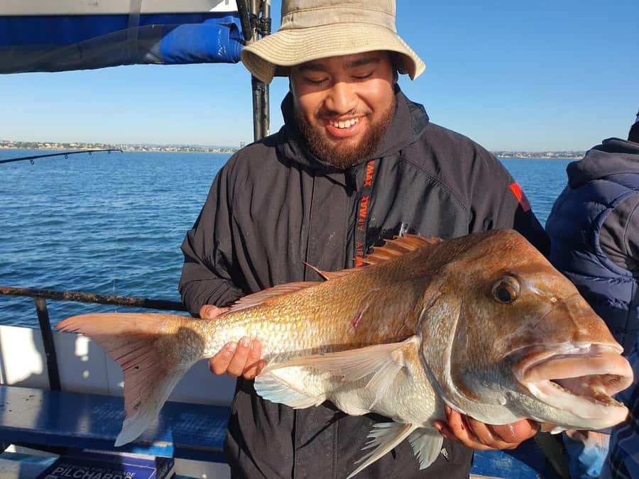 Auckland: Twilight Fishing Charter 5pm - 9:30pm - Setting out from Z Pier at 5pm