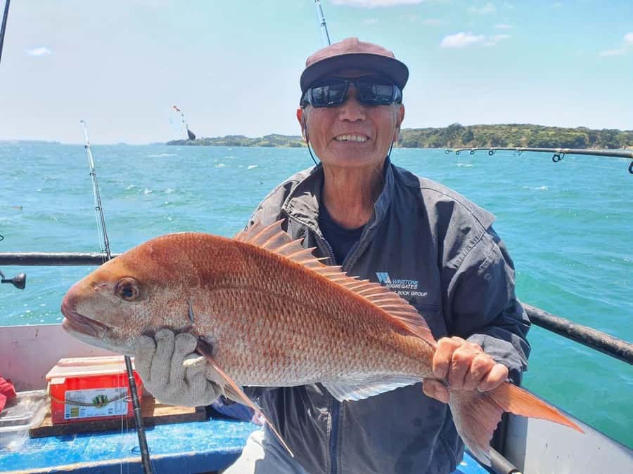 Auckland: Twilight Fishing Charter 5pm - 9:30pm - The meeting point deserves extra care