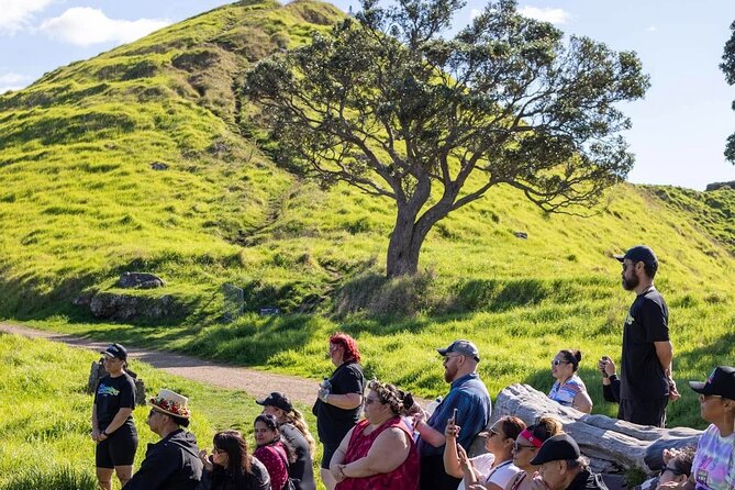 Auckland Urban Māori Experience - Small Group Tour In Auckland - Who Should Book This Auckland Day Tour?