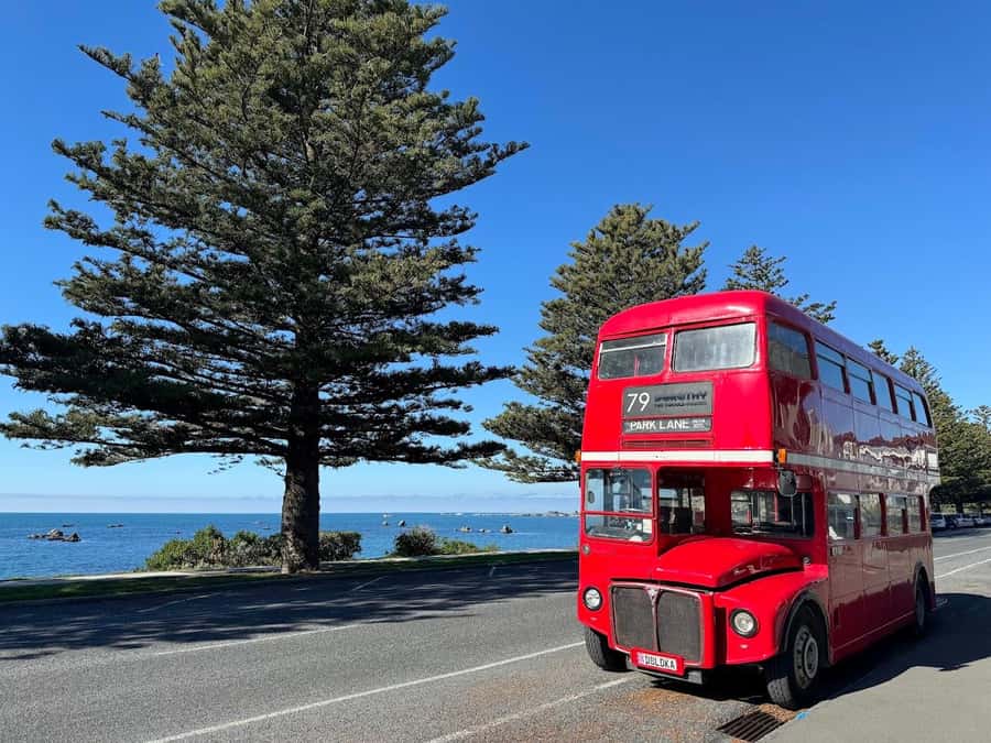 Auckland: Vintage Double-Decker Bus Sightseeing Tour - Mission Bay brings the coastal view