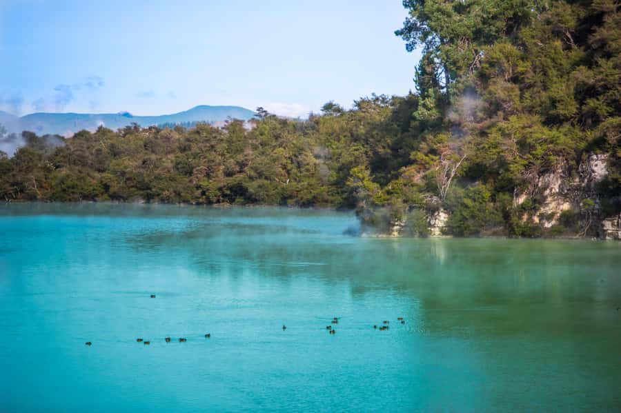 Auckland: Wai-O-Tapu and Lake Taupo Private Day Tour - Key points to know before booking