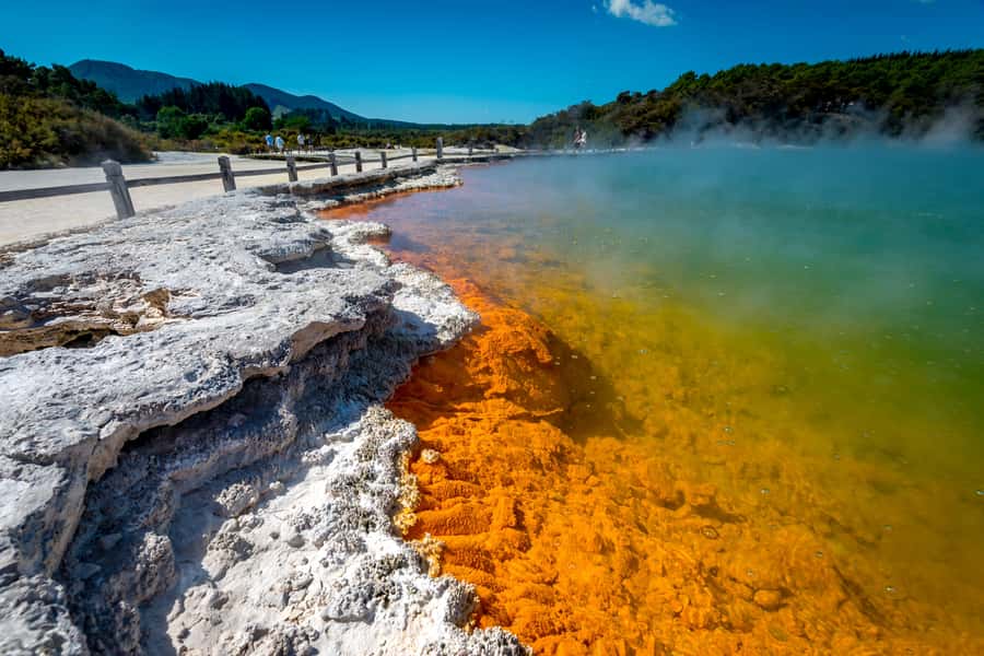 Auckland: Wai-O-Tapu and Lake Taupo Private Day Tour - A big North Island day from Auckland