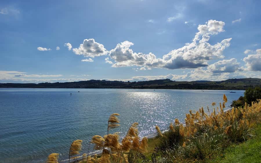 Auckland: Wai-O-Tapu and Lake Taupo Private Day Tour - Who should book this tour?