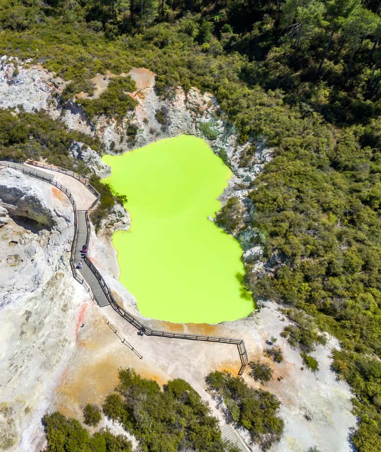 Auckland: Wai-O-Tapu, Maori Haka & Hot Springs Rotorua Tour - A Māori haka at Whakarewarewa