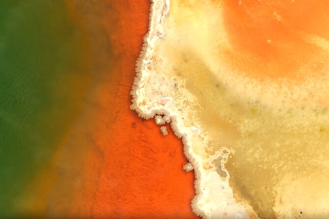 Auckland: WAI O TAPU Rotorua, Polynesian Spa & Blue Springs Tour - Who should book this full-day Rotorua outing?