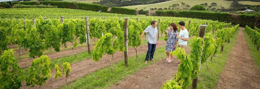 Auckland: Waiheke Island Luxury Experience Private Tour - Who will enjoy this Waiheke day most