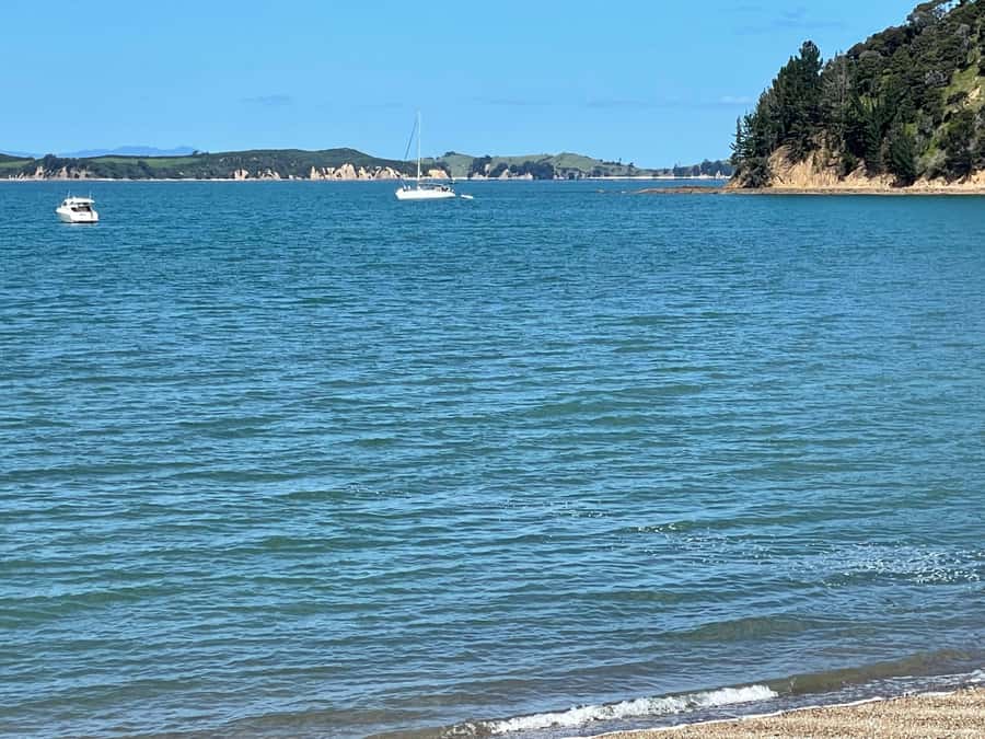 Auckland: Waiheke Island Luxury Experience Private Tour - What the $594 price really covers