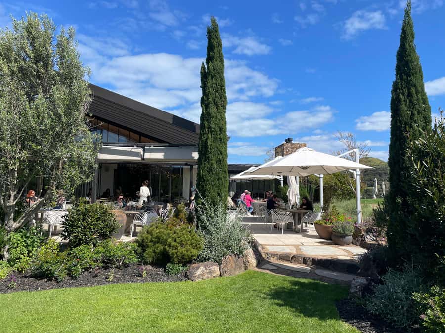 Auckland: Waiheke Island Luxury Experience Private Tour - Timing, comfort, and practical limits