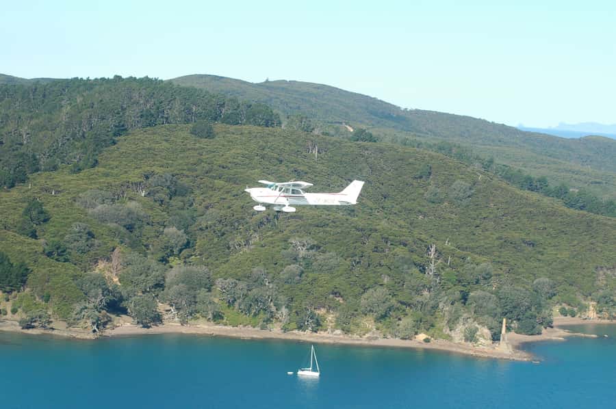 Auckland: Waiheke Island Wine and Food Tasting with Flights - Why this Waiheke day trip feels different