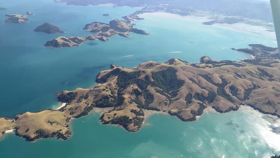 Auckland: Waiheke Island Wine and Food Tasting with Flights - Batch Winery and the views from Waiheke’s high point