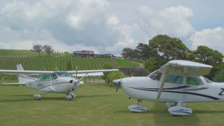 Auckland: Waiheke Island Wine and Food Tasting with Flights - Group size, guides, and the service style