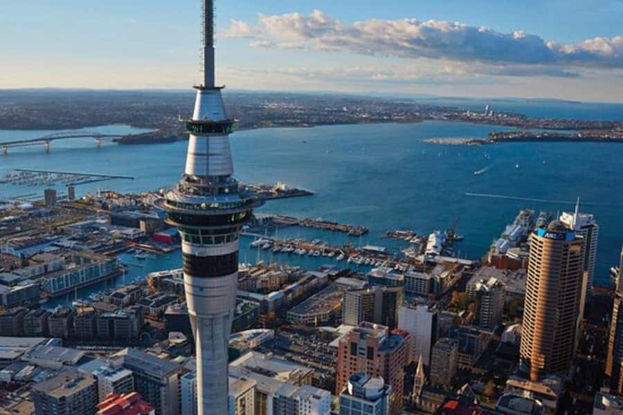 Auckland: Waiheke Island Wine and Food Tasting with Flights - The Auckland pickup and airport transfer
