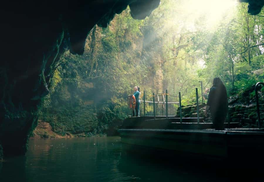 Auckland: Waitomo Caves & Rotorua - Te Puia Small-Group Tour - Why this Auckland day trip makes sense