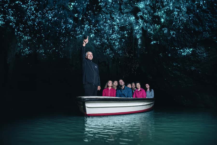 Auckland: Waitomo Caves & Te Puia Rotorua w Picnic Lunch - Waikato Views on the Road South