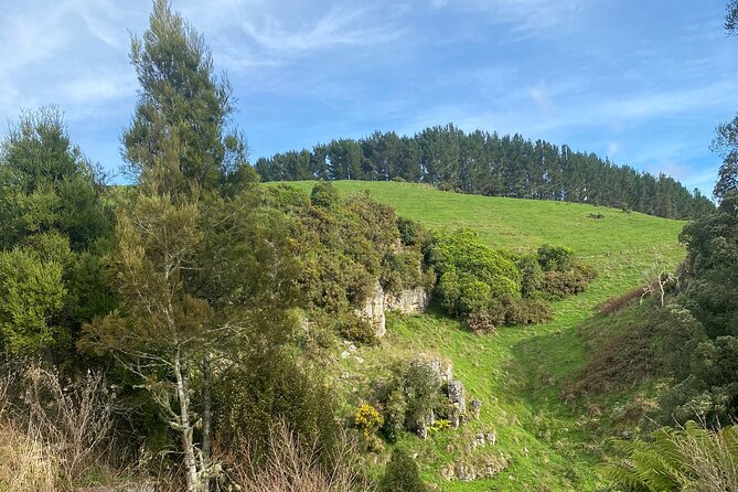 Auckland : Waitomo Spellbound Glow Worm Twin Caves Private Tour - The Otorohanga lunch pause