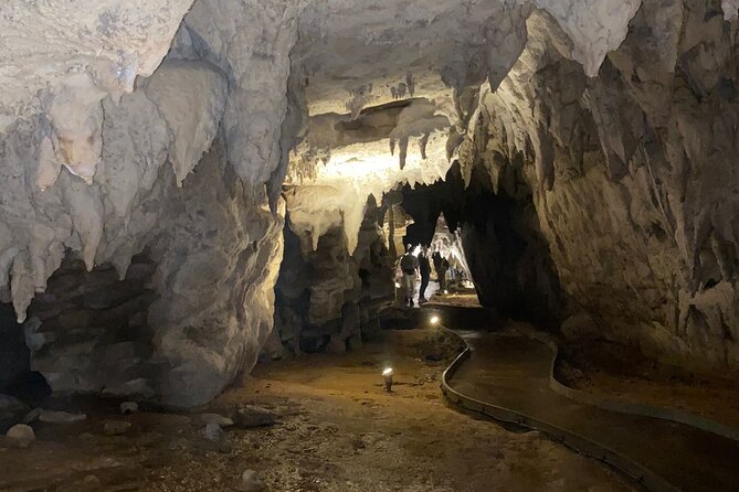 Auckland : Waitomo Spellbound Glow Worm Twin Caves Private Tour - Who should book this cave tour?