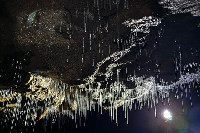 Auckland : Waitomo Spellbound Glow Worm Twin Caves Private Tour - Entering the Glowworm Grotto