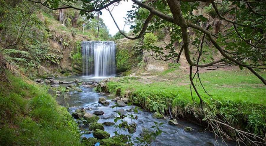 Auckland Waterfall Tour - Five useful details before you book