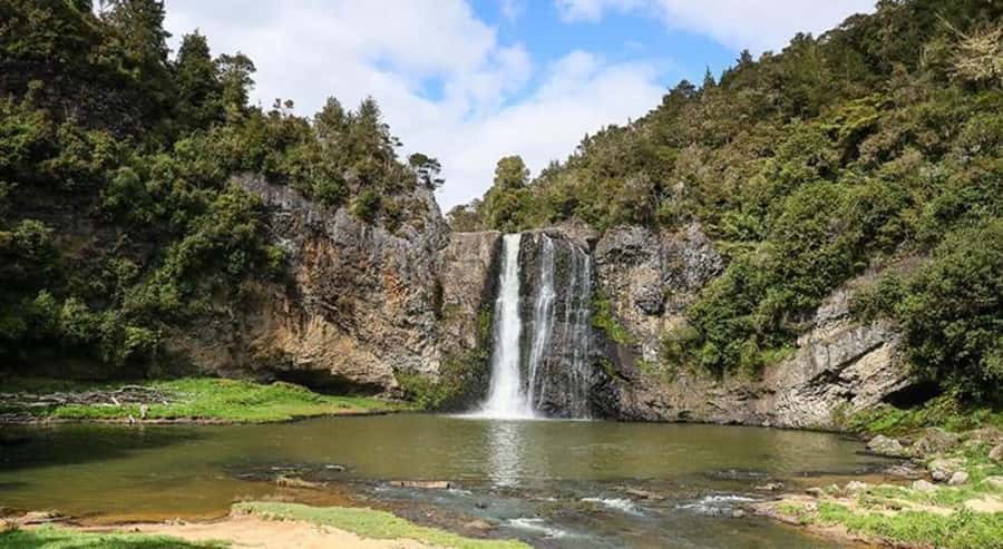 Auckland Waterfall Tour - From the Sky Tower to Oakley Creek Falls