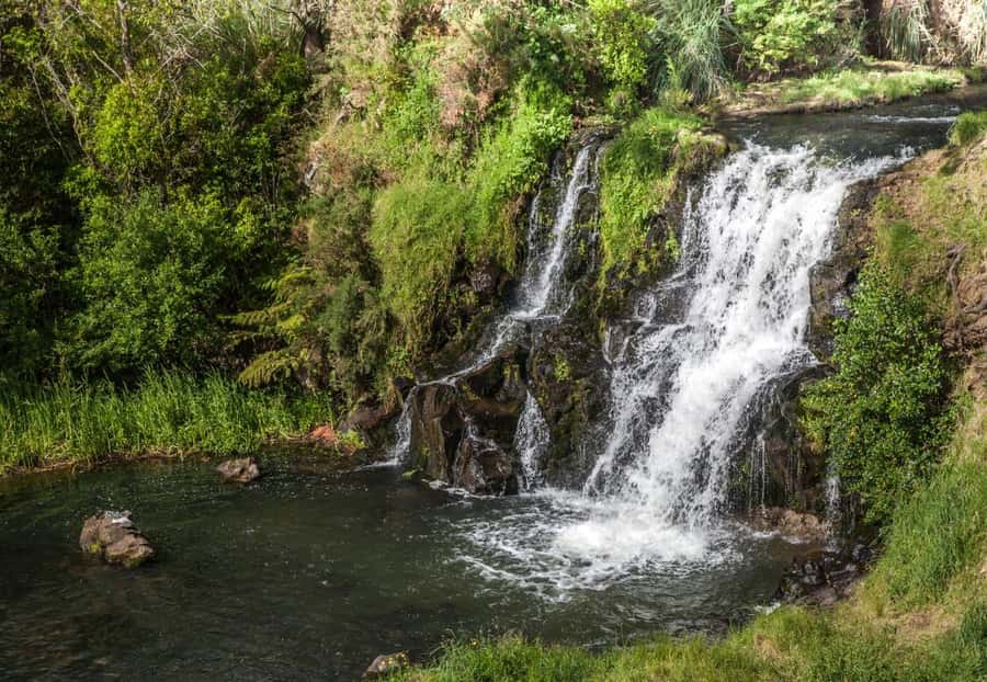 Auckland Waterfall Tour - Maketu Falls and the quieter side of the route